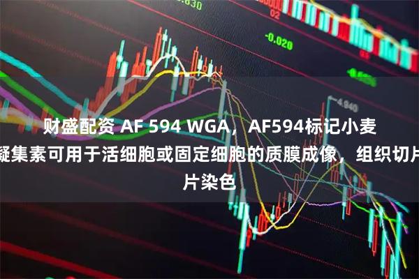 财盛配资 AF 594 WGA，AF594标记小麦胚芽凝集素可用于活细胞或固定细胞的质膜成像，组织切片染色