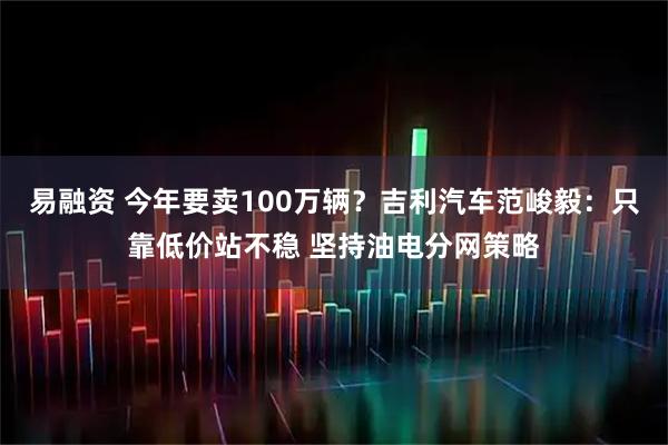 易融资 今年要卖100万辆？吉利汽车范峻毅：只靠低价站不稳 坚持油电分网策略