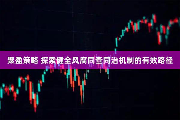 聚盈策略 探索健全风腐同查同治机制的有效路径